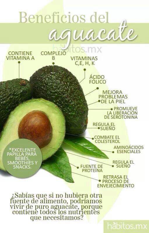 aguacate.jpg