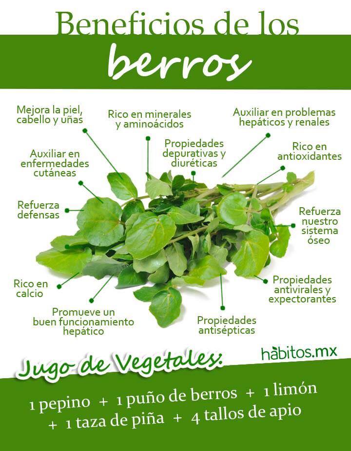 berros.jpg