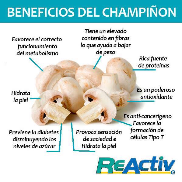 champiñon.jpg