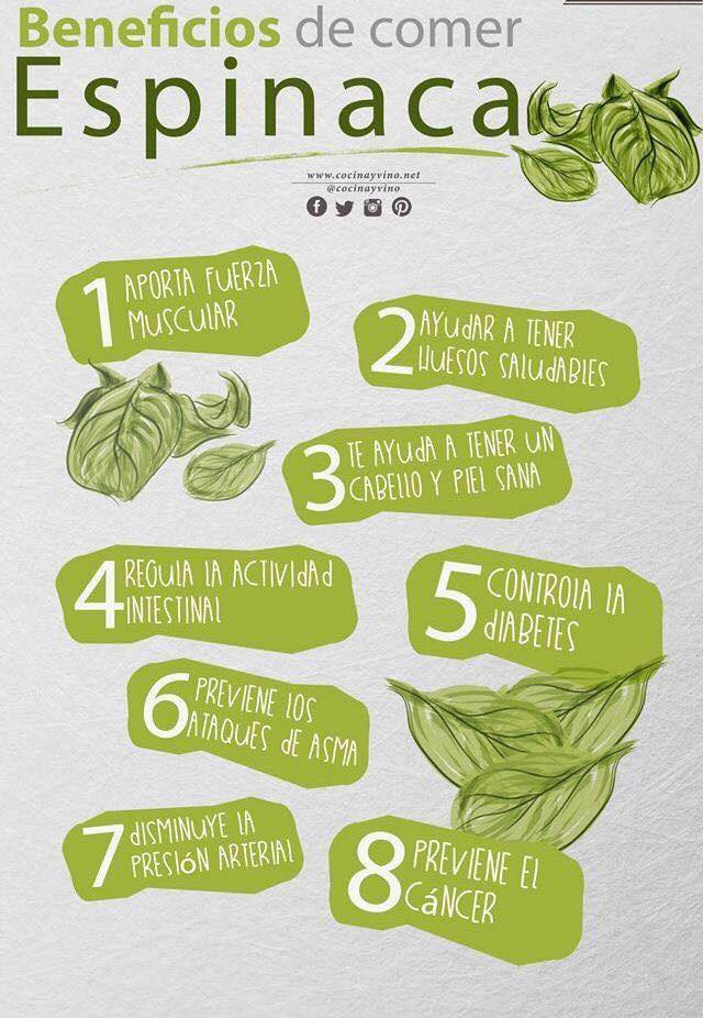 espinaca.jpg