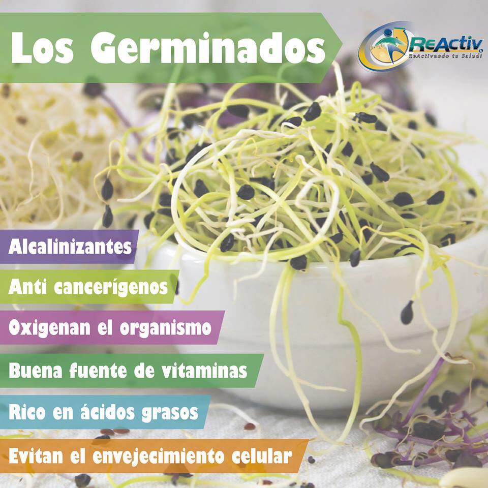 germinados.jpg