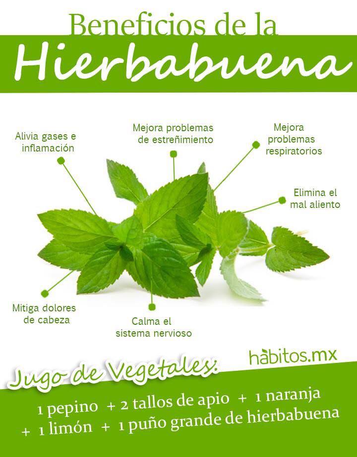 hiberbabuena.jpg