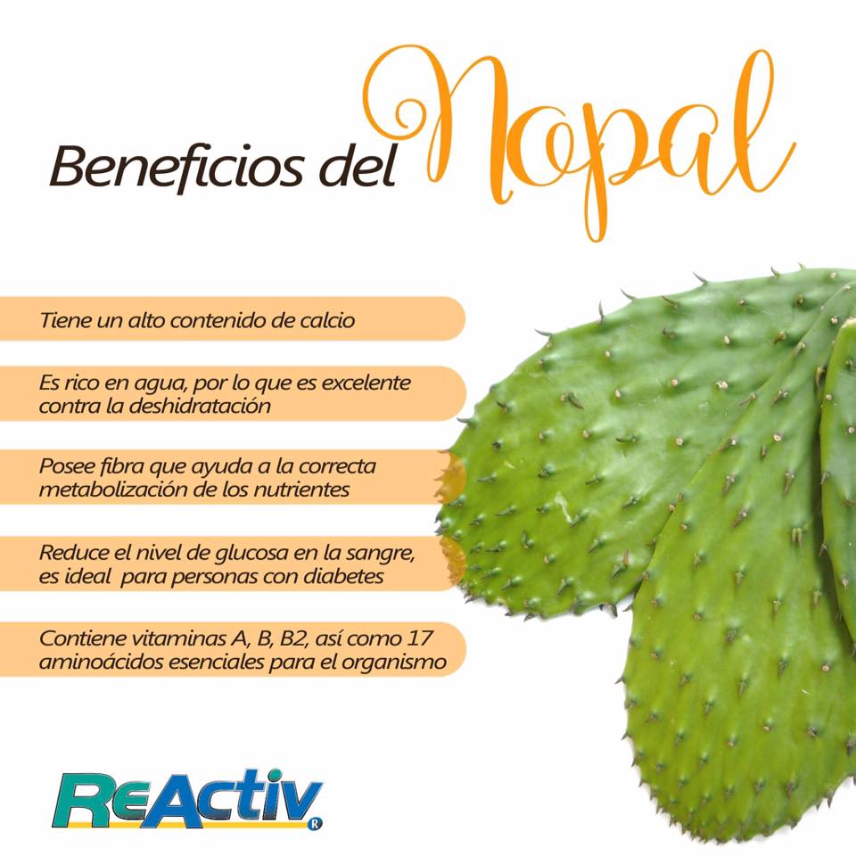 nopal.jpg