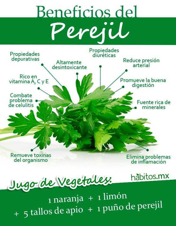 perejil.jpg